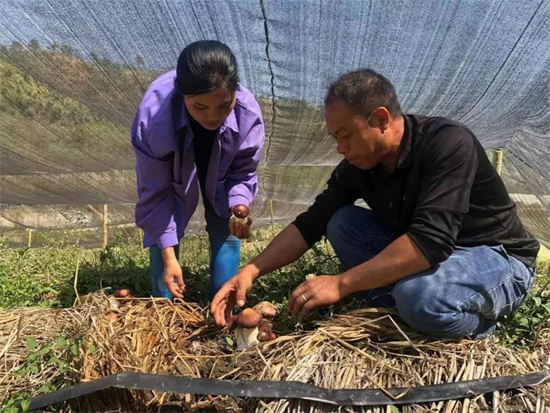 1678075213313033547.jpg 640 (19).jpg