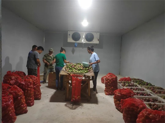 1678075548957090464.jpg 640 (23).jpg