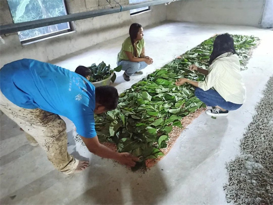 1678075562910057835.jpg 640 (24).jpg