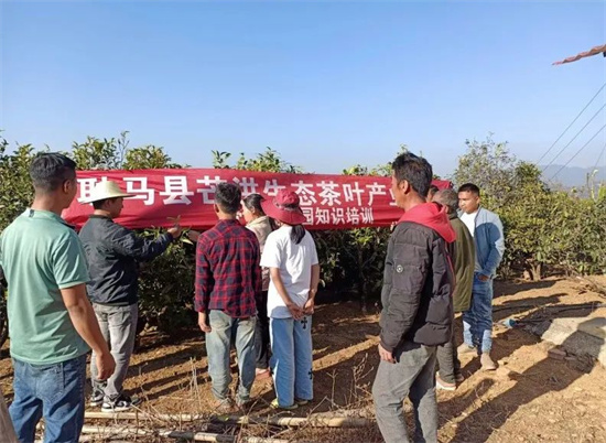 1679306709537027317.jpg 640 (26).jpg