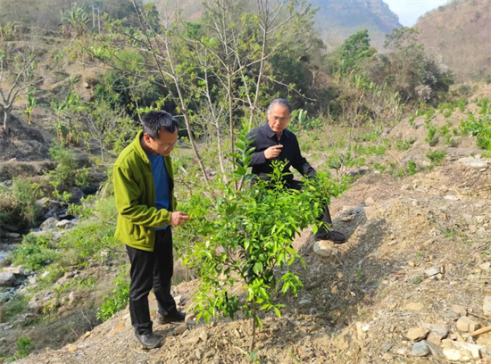 1679318978696062760.jpg 640 (46).jpg