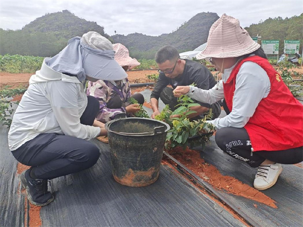 1688522820381019142.jpg 7.4 12.jpg