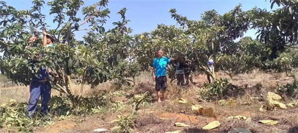 1688522832175009603.jpg 7.4 11.jpg