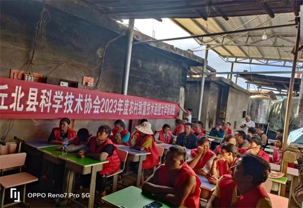 1691981360471023887.jpg 8-1108.jpg