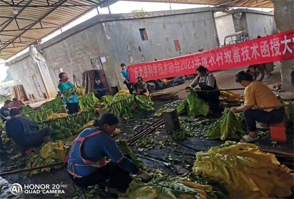 1691981366972012754.jpg 8-1109.jpg