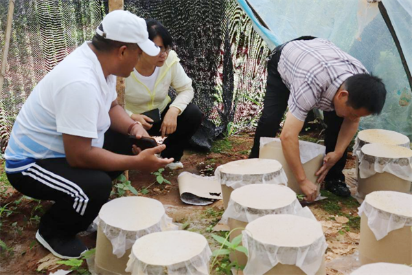 1692065169564041542.png 8.304.png