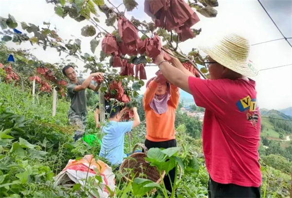 1702371841264042678.jpg 1210-01.jpg