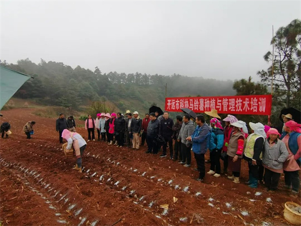 1702547172621089402.jpg 1212-06.jpg