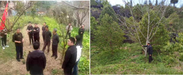 1702547714749076831.png 1213-01.png