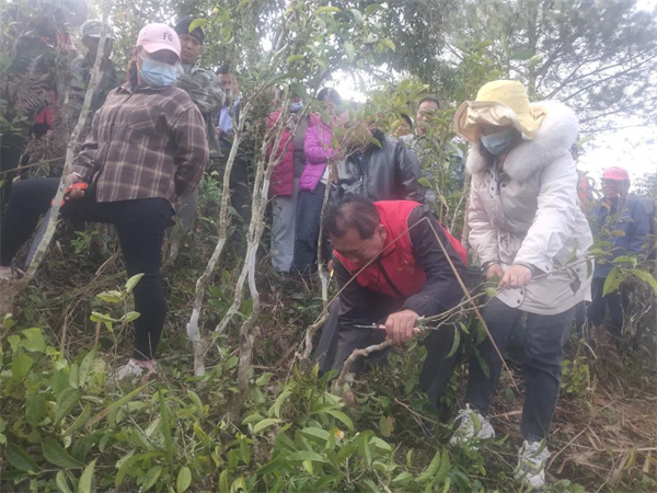 1705392304899063855.jpg 109-01.jpg