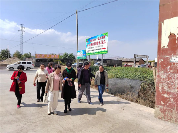 1710407503551009283.jpg 226-04.jpg