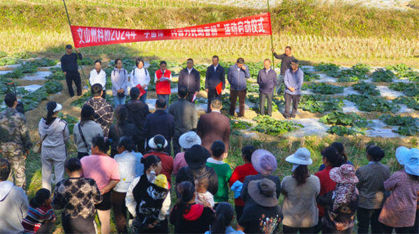 1711092822895007361.png 311-11.png