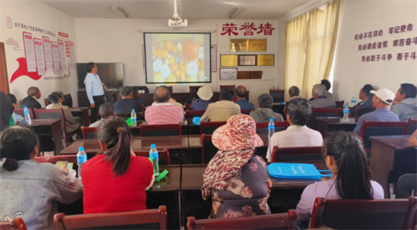 1711092831167069578.png 311-10.png