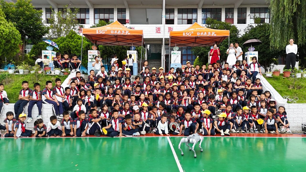 1719025403135078265.jpg 617凤庆1.jpg