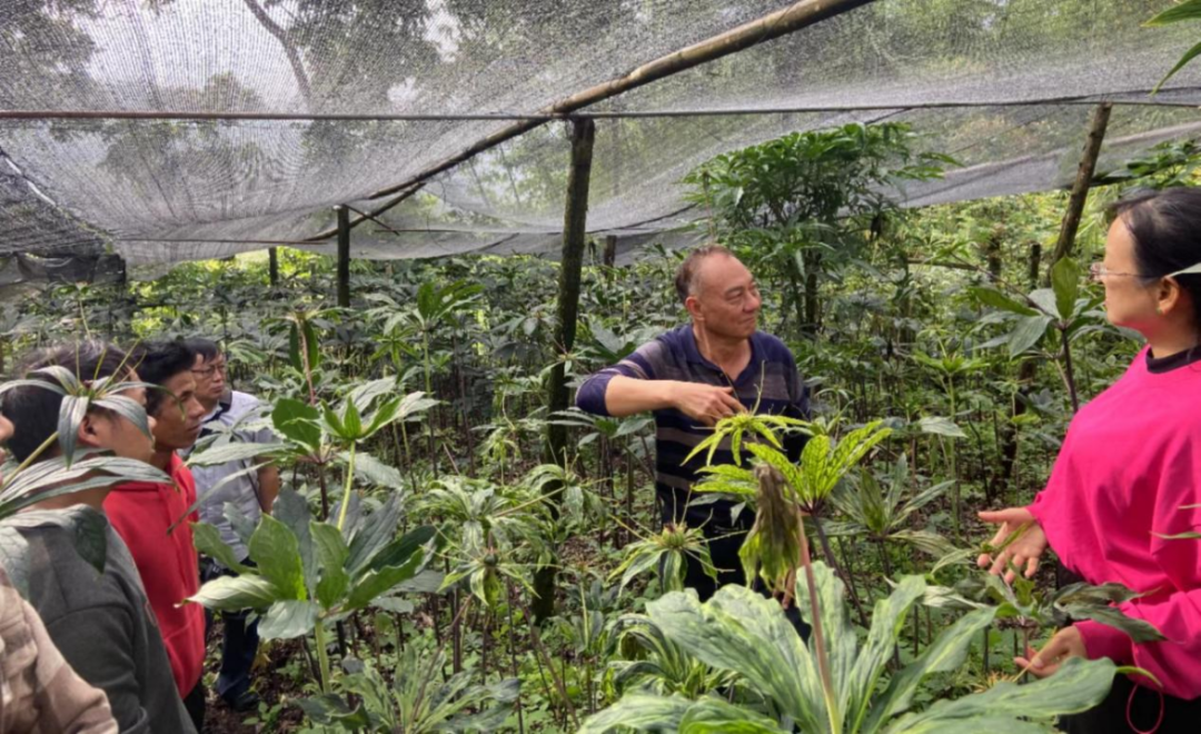 1719395456722002762.png 6-1微信图片_20240626174219.png