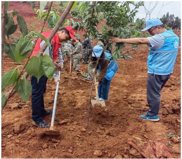 1719822839874029861.jpg 6285-1.jpg