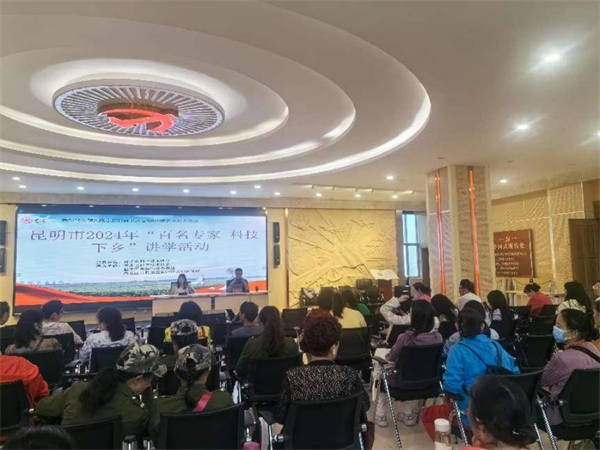 1720481937785005638.png 72-2.png