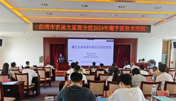 1723284331219022575.jpg 85-5.jpg