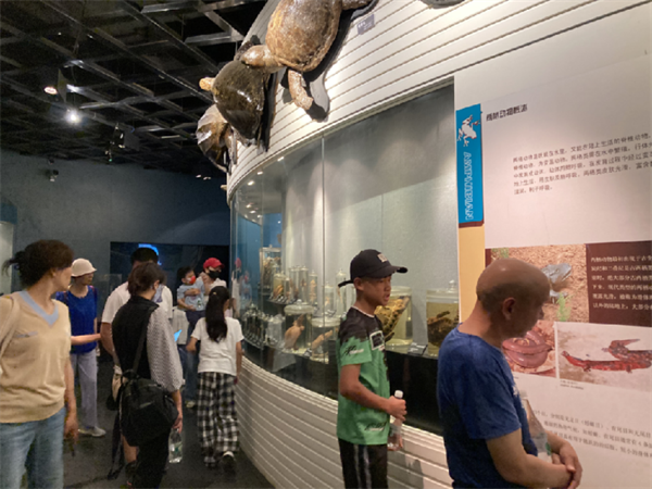 1723630697571053993.png 813-6-2.png