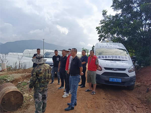 1725334558692040895.png 通海.png