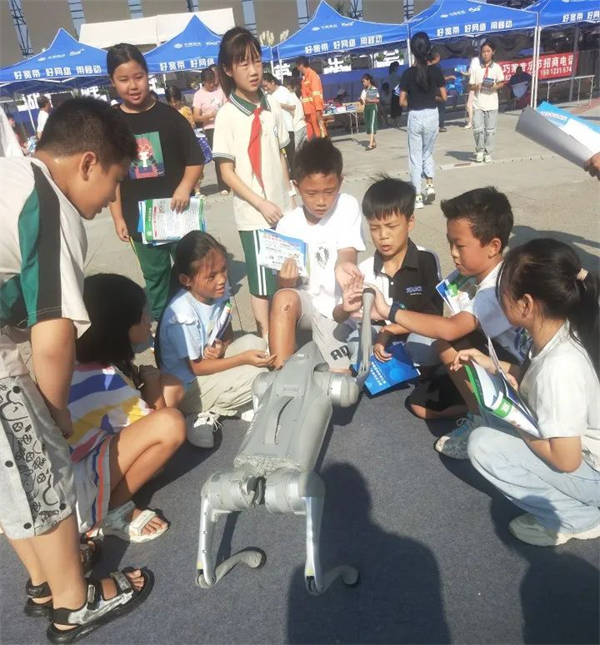 1727170105417072634.jpg 918-3.jpg