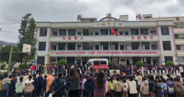 1733105965892031452.jpg 1113-2.jpg