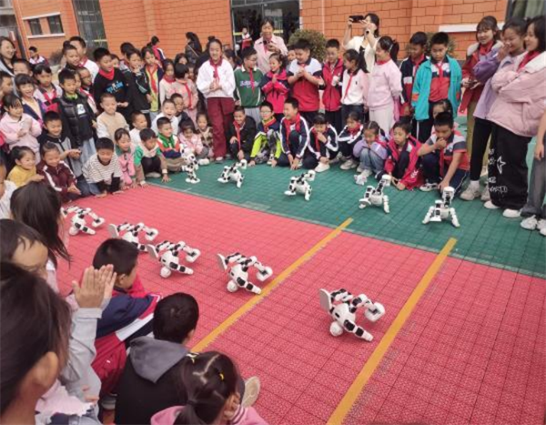 1733122831409079941.png 1120-1-2.png