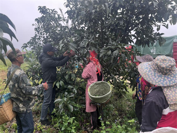 1733124924703079278.png 1121-6.png