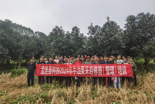 1733124940792052746.png 1121-6-2.png