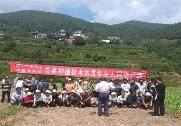 1734491939289086675.jpg 1127-6.jpg