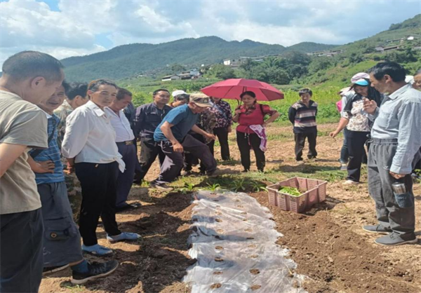 1734491961813052047.png 1127-6-2.png