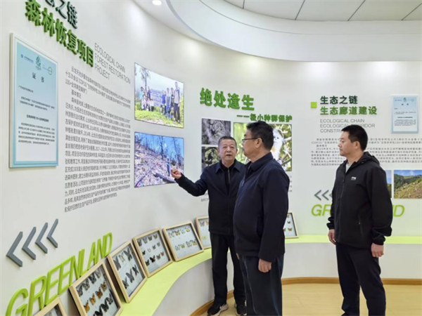 1734504431892019426.png 1129-2.png