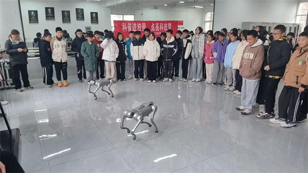 1734504542427069905.png 1129-3.png