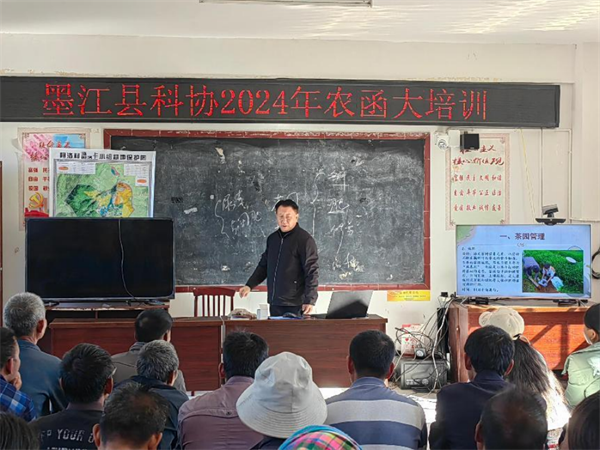 1734504825211086976.png 1129-7.png