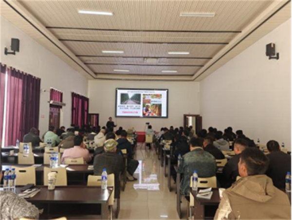 1735526025309013753.png 1211-2.png