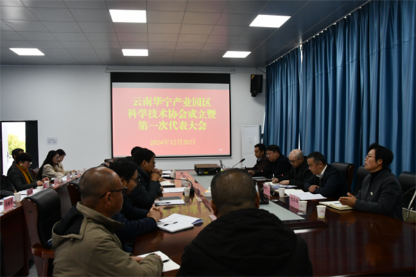 1736750362660066442.png 1231-5.png