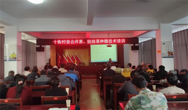 1736838564898035911.png 13-4.png