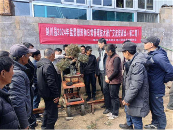 1736841919341060230.png 17-5.png