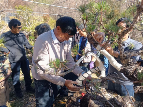 1736841952090036911.png 17-5-2.png