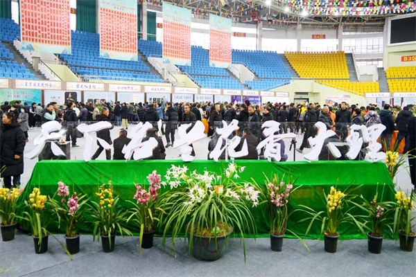 1739866051793040303.png 兰花2.png