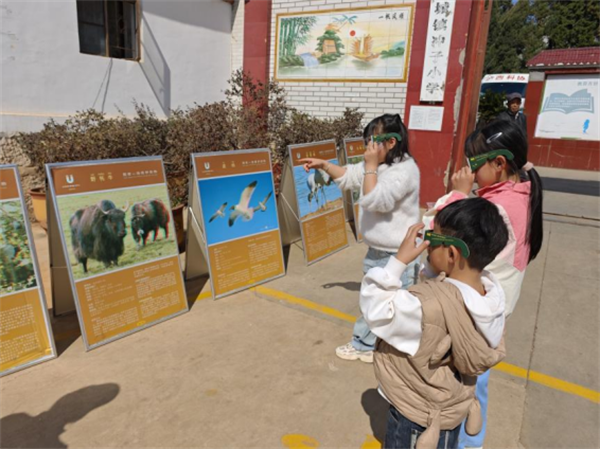 1740987647221000149.png 217-5.png