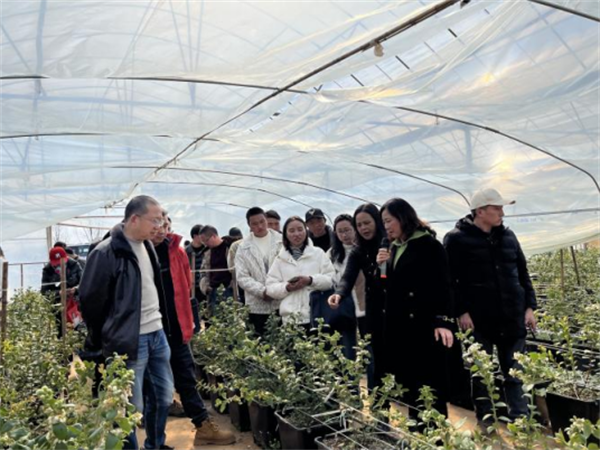 1741073550519076101.png 224-2-2.png