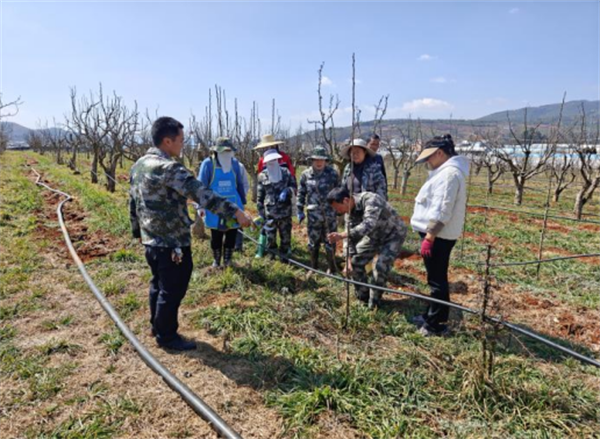 1741076016230070189.png 227-2.png