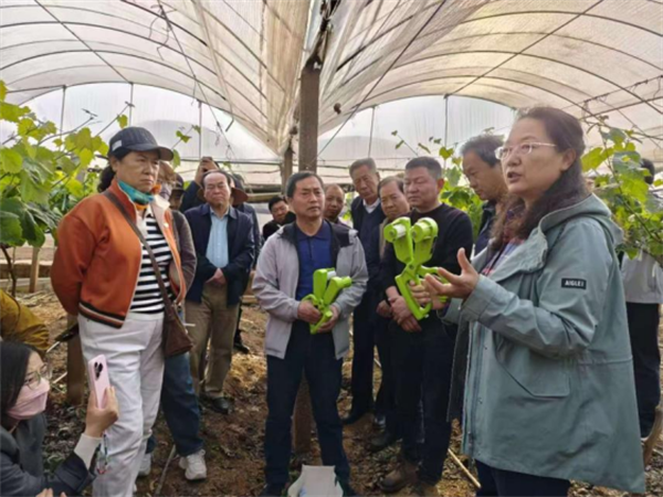 1741076804630084665.png 228-5.png