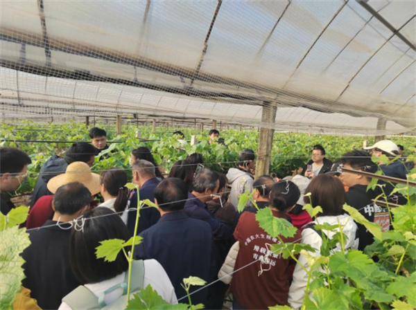 1741076821117017670.png 228-5-2.png