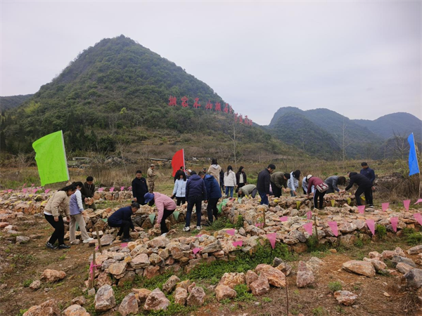 1742562094598041750.png 党务2.png