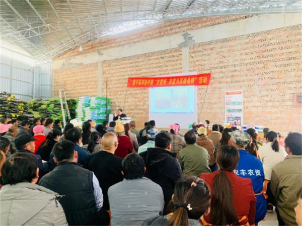 1742802318888005859.png 35-4.png