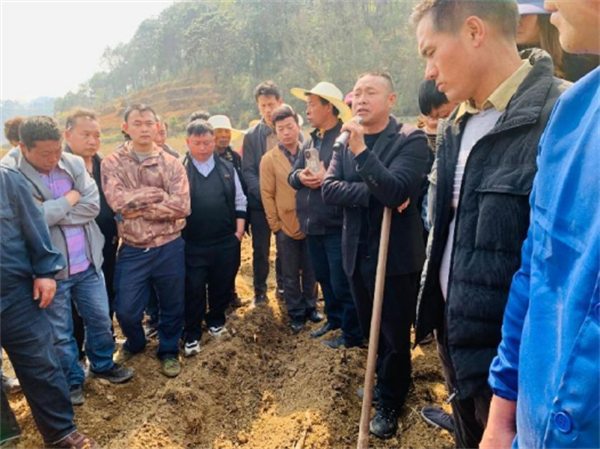 1742802334284051211.png 35-4-2.png