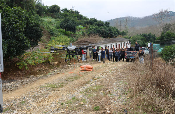 1742802516731049939.png 35-5.png