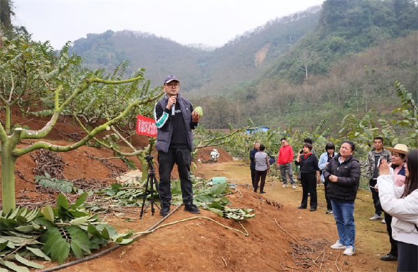 1742802564046088395.png 35-5-2.png